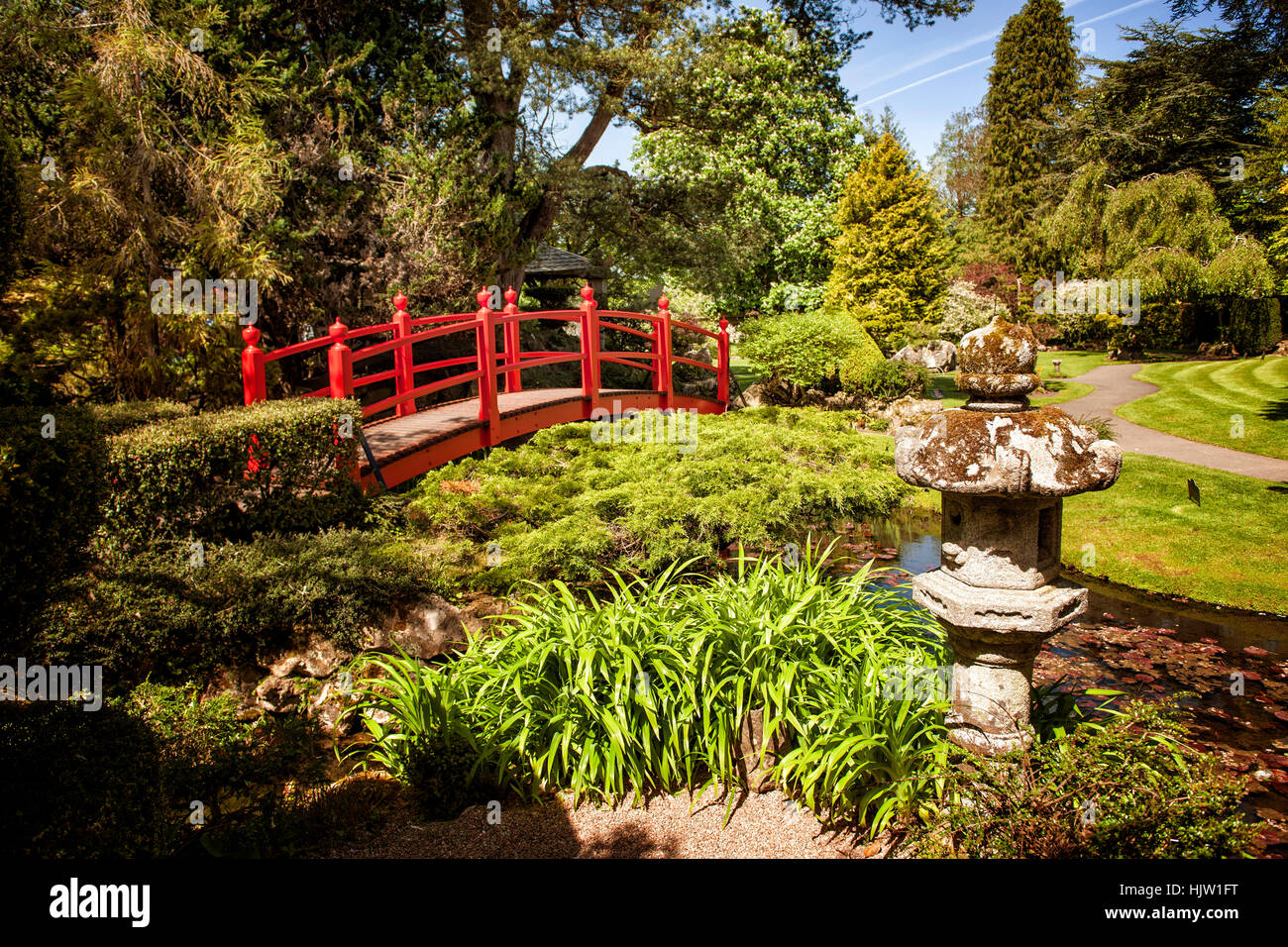 Japanese garden, National Stud, Kildare, Ireland Stock Photo Alamy