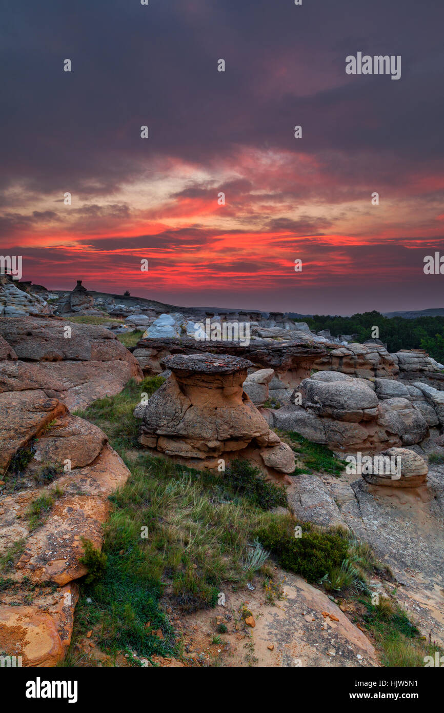 Golden sunrise over the Hoodoo badlands at Writing on Stone Provincial Park and Aisinaipi National Historic Site in Alberta. Stock Photo