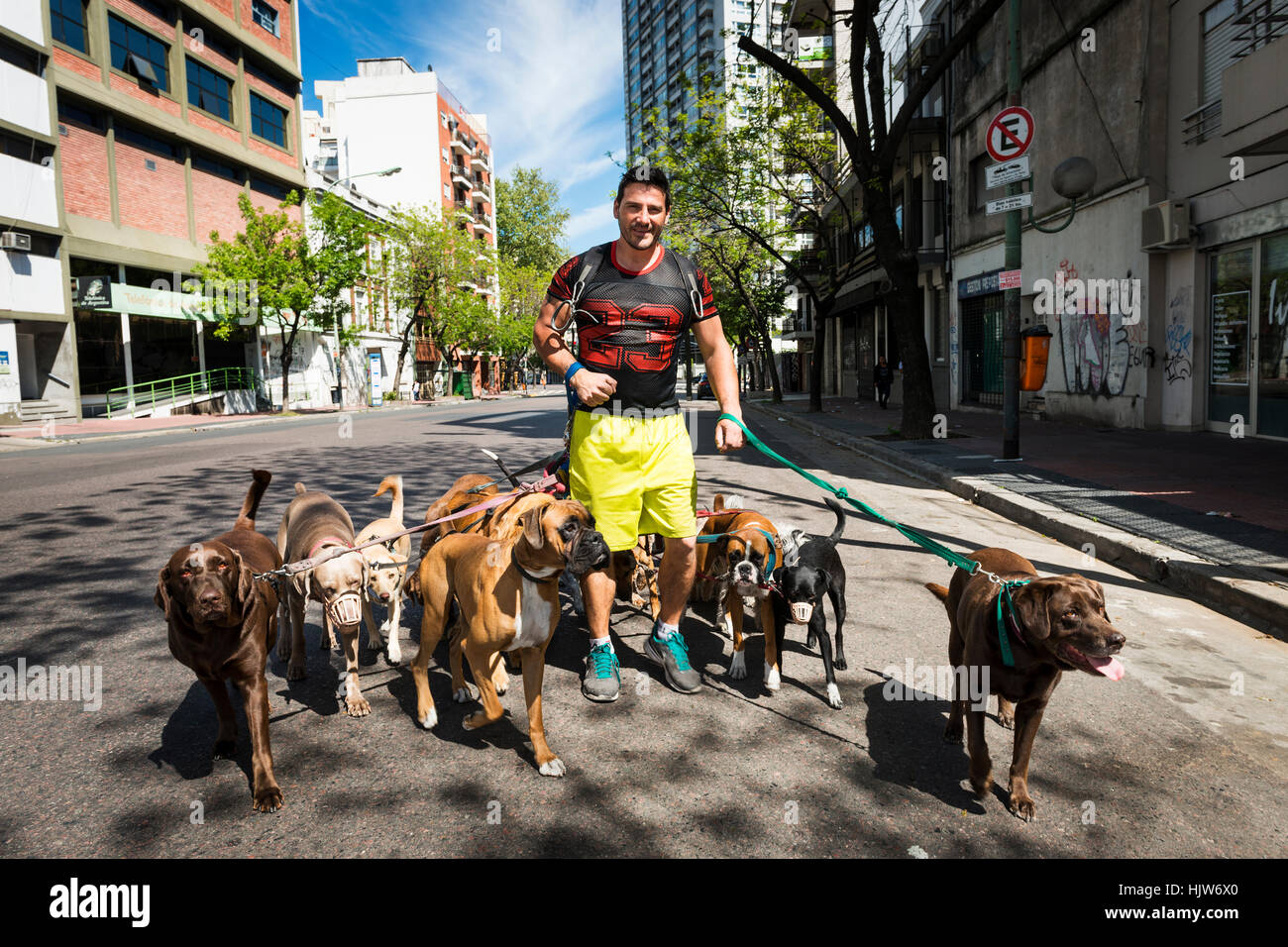 Dog walker Buenos Aires