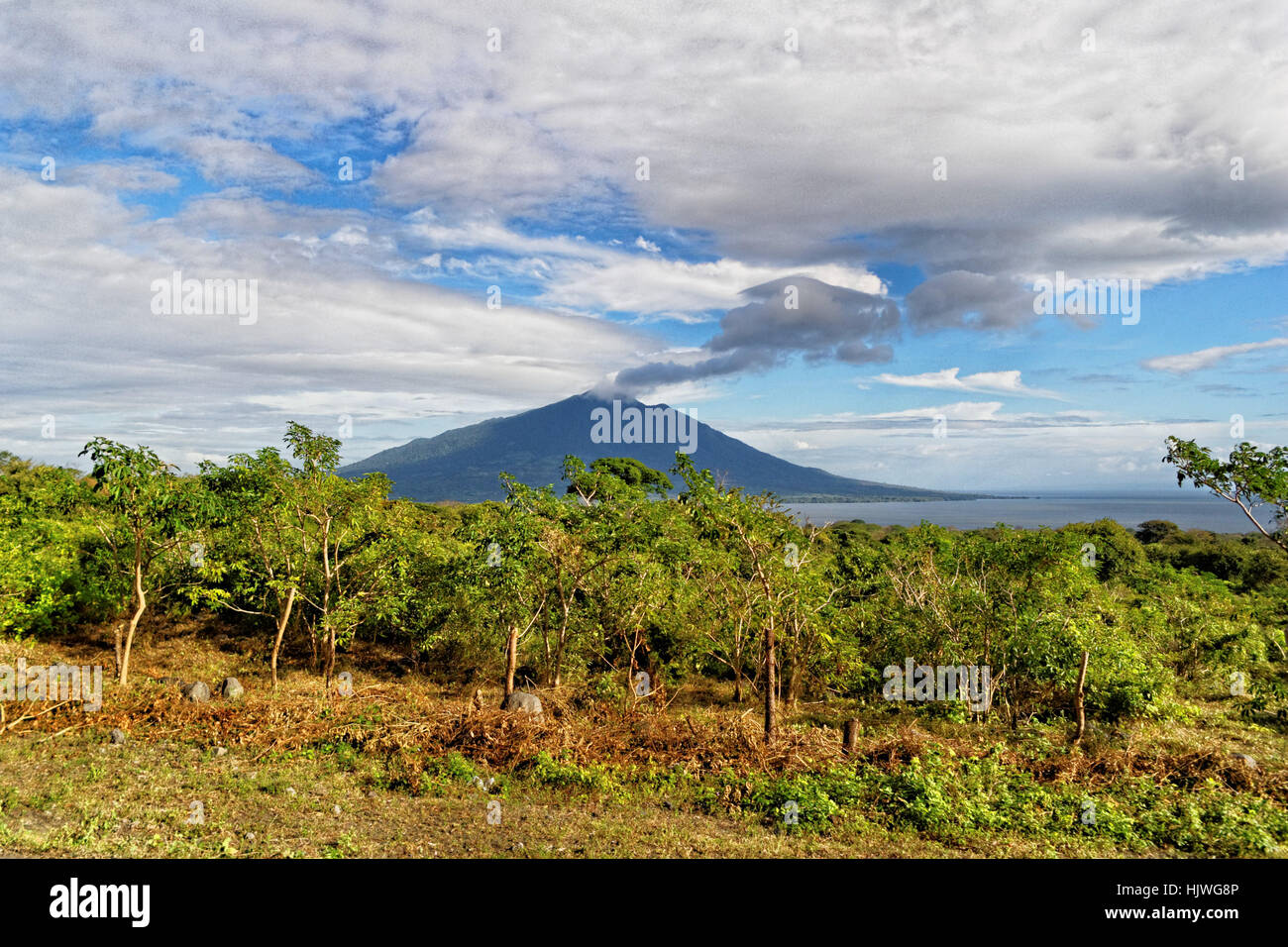 latin america, lava, nicaragua, vulcan, volcano, isle, island, blue, leaf, Stock Photo