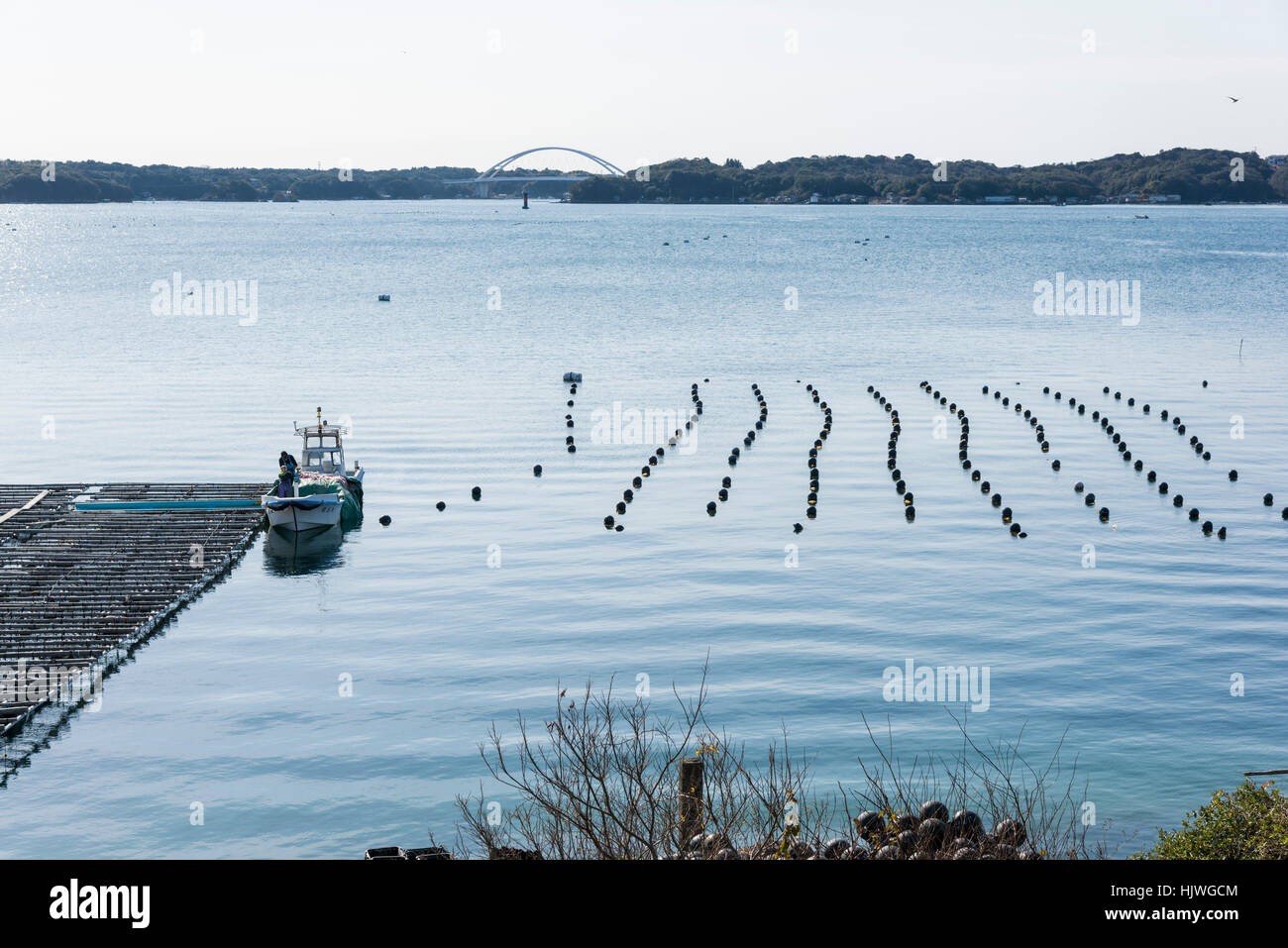 Pearl cultivation, Masakijima, Ago Bay, Shima City, Mie Prefecture,Japan Stock Photo