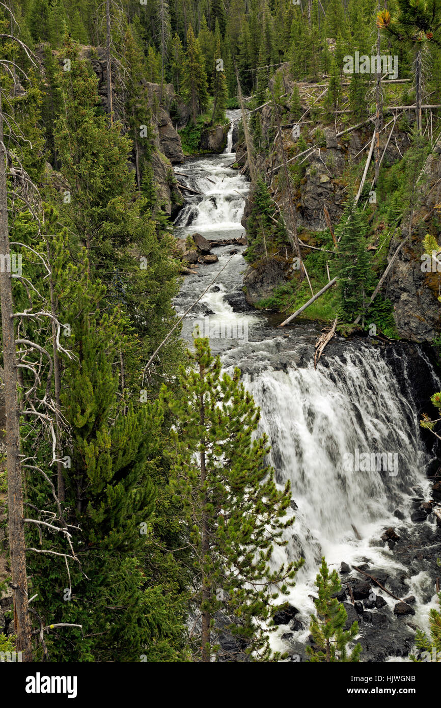 WY02198-00...WYOMING - The Kepler Cascades on the Firehole River in Yellowstone National Park. Stock Photo