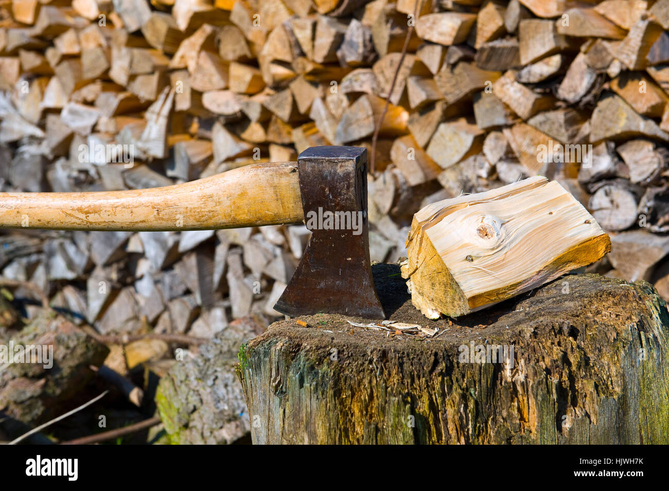 heat, firewood, stock, provision, environment, enviroment, winter, wood, Stock Photo