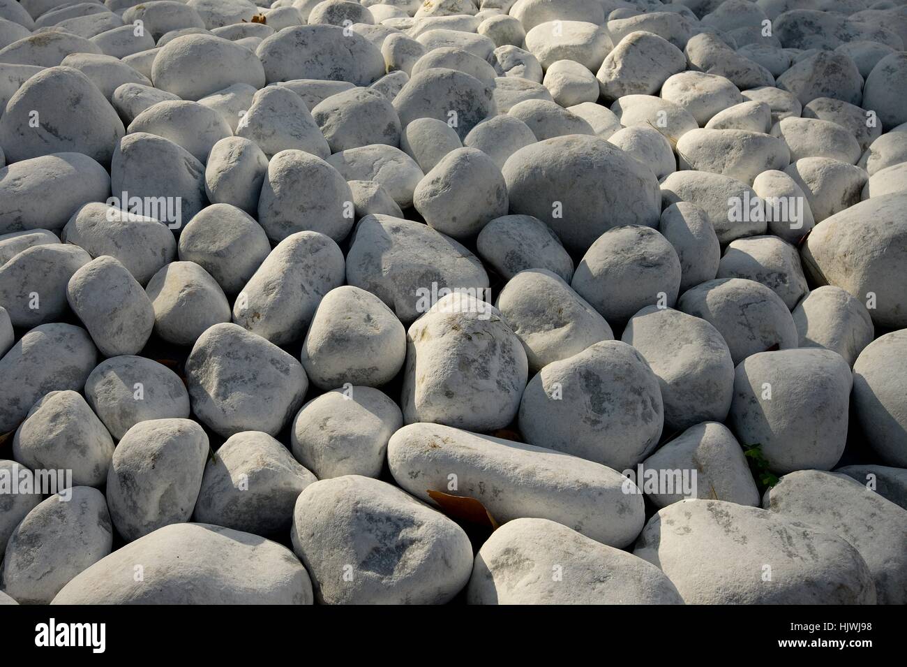 big, large, enormous, extreme, powerful, imposing, immense, relevant ...