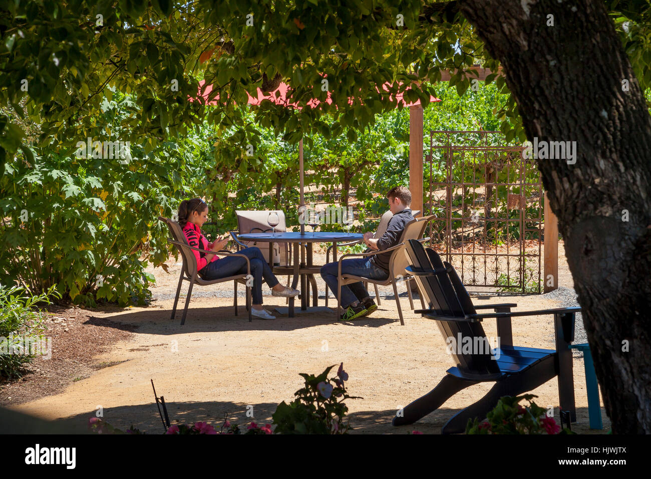 Couple relaxing at Martin Ray Vineyards & Winery, Santa Rosa, Sonoma County, California, USA Stock Photo