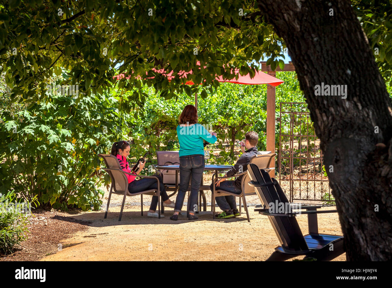 Couple being served by a winery hostess at the Martin Ray Vineyard & Winery, Santa Rosa, California, USA Stock Photo