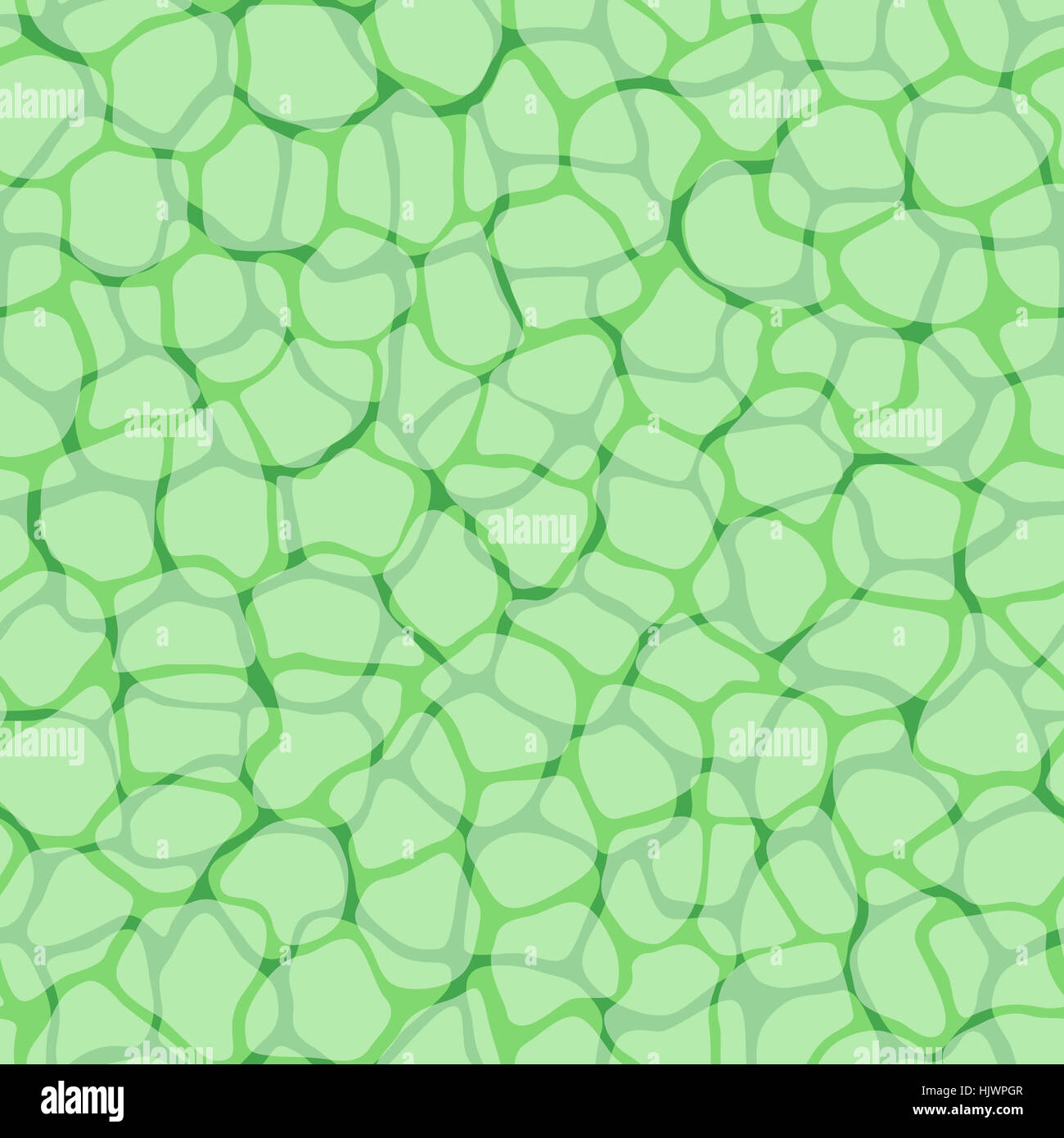 Cells bio micro pattern plant background hi-res stock photography and ...
