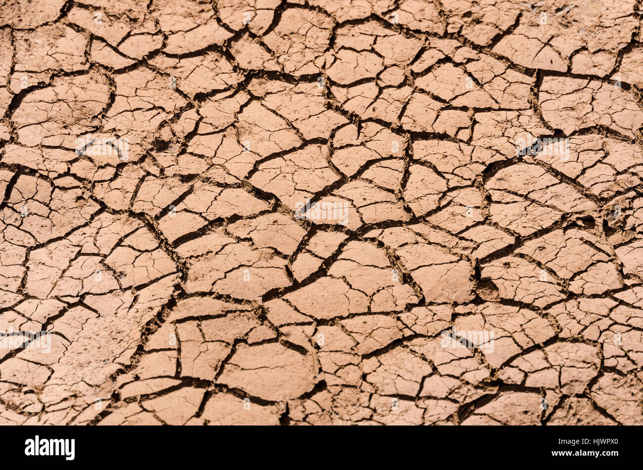 ground, soil, earth, humus, drought, dried, land, fissured, cracked, realty, Stock Photo