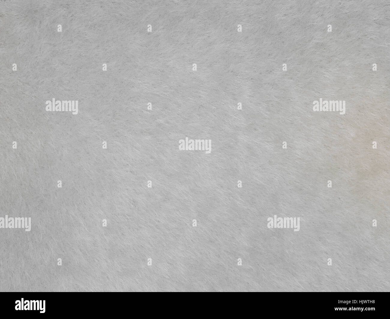Grey fur texture hi-res stock photography and images - Alamy