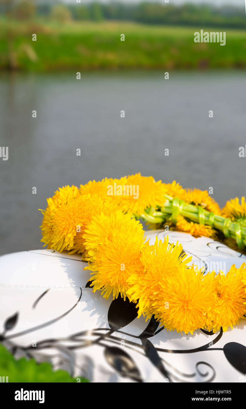 flower, plant, channel, dike, marguerite, bike, bicycle, cycle, beautiful, Stock Photo