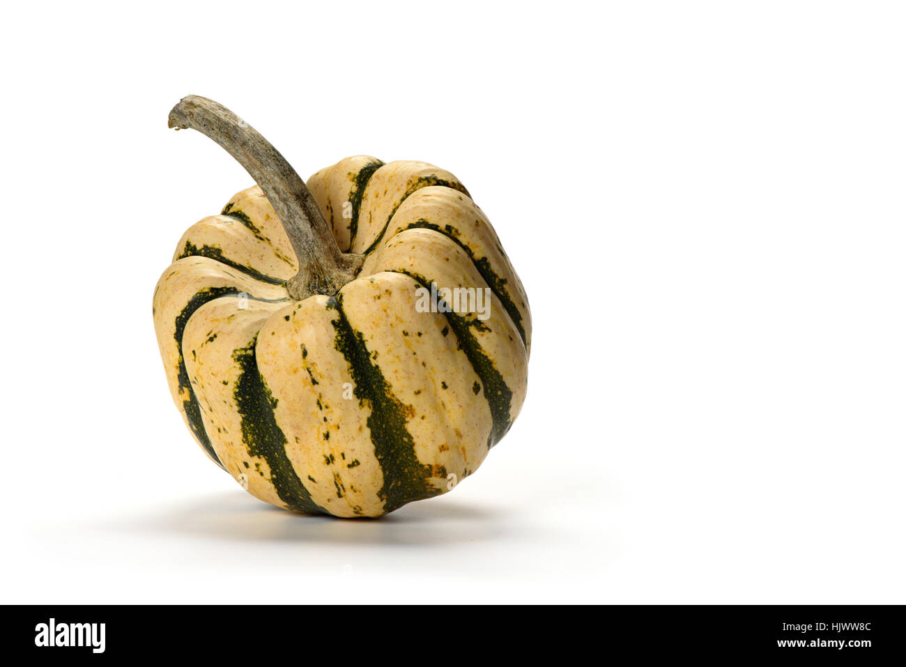 decorative small pumpkin isolated on a white background Stock Photo - Alamy