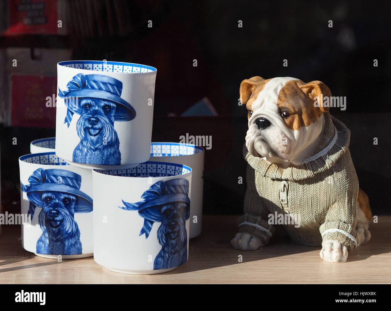 Photo series 'dogs in Berlin' -  A cheese figure of an English Bulldog is seen in the window of a furniture shop in Berlin on February 15, 2016. Berlin is often called the 'capital of dogs'. This picture is part of a long-term project on dogs in Berlin. Ph | usage worldwide Stock Photo