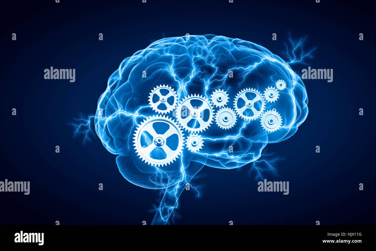 Concept of human intelligence with human brain on white digital ...