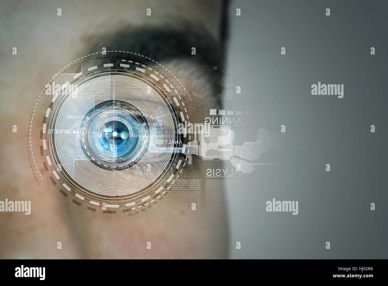 Human sight process hi-res stock photography and images - Alamy
