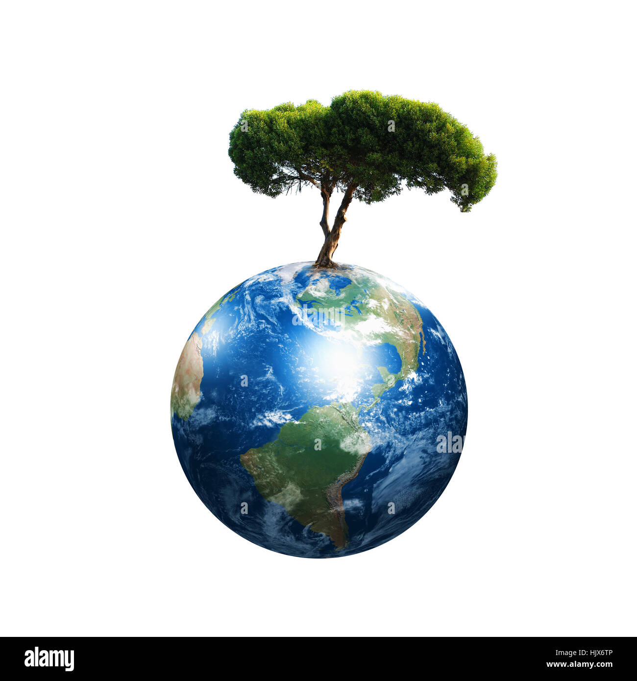 Our Environment Tree our planet Earth and the tree - a symbol of environmental protection ...