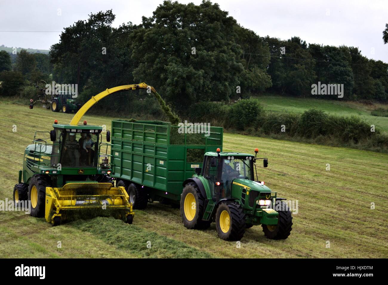 harvester pick up grass Stock Photo Alamy