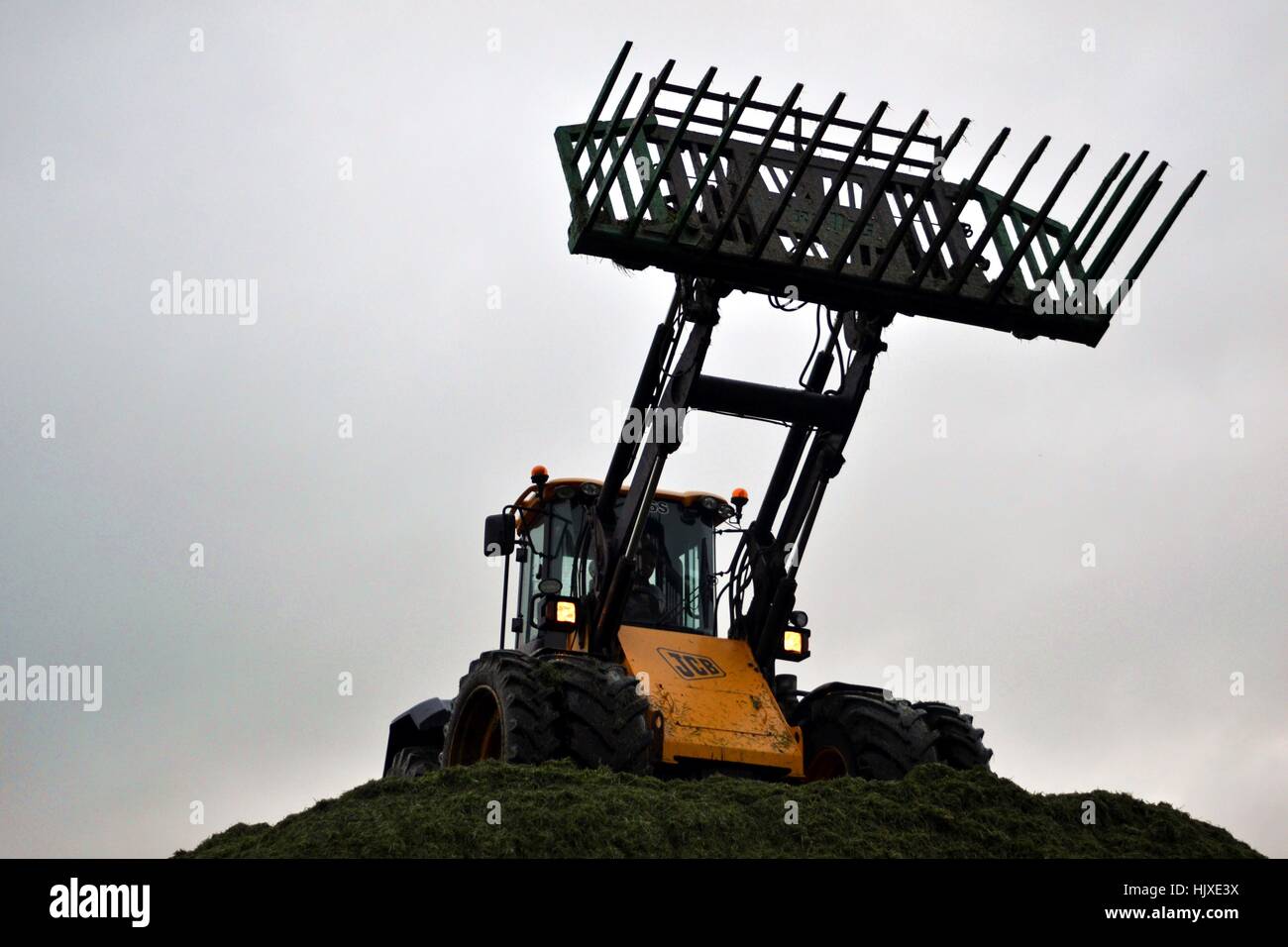 loader on the pit Stock Photo