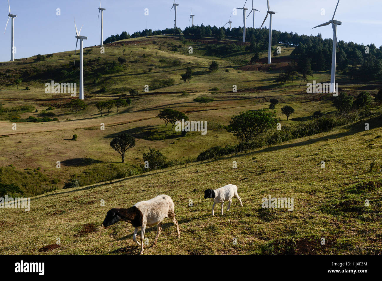 KENYA, Nairobi, Ngong Hills, 25,5 MW Wind Power Station with Vestas and
