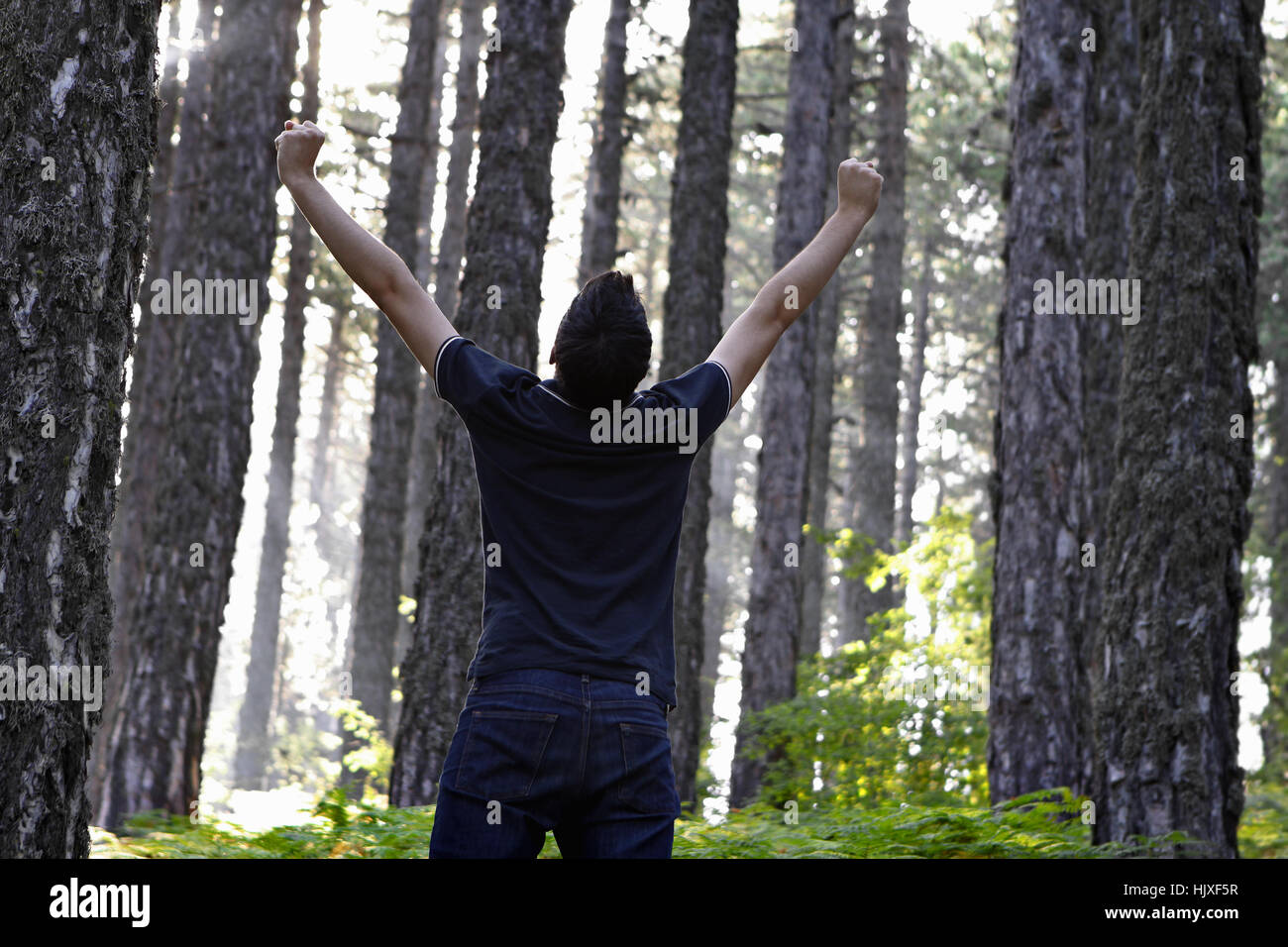 Человек поднимает за 16. Мужчина в лесу со спины. Мужчина в лесу с поднятыми руками. Человек поднимает дерево. Человек поднимает ветку.