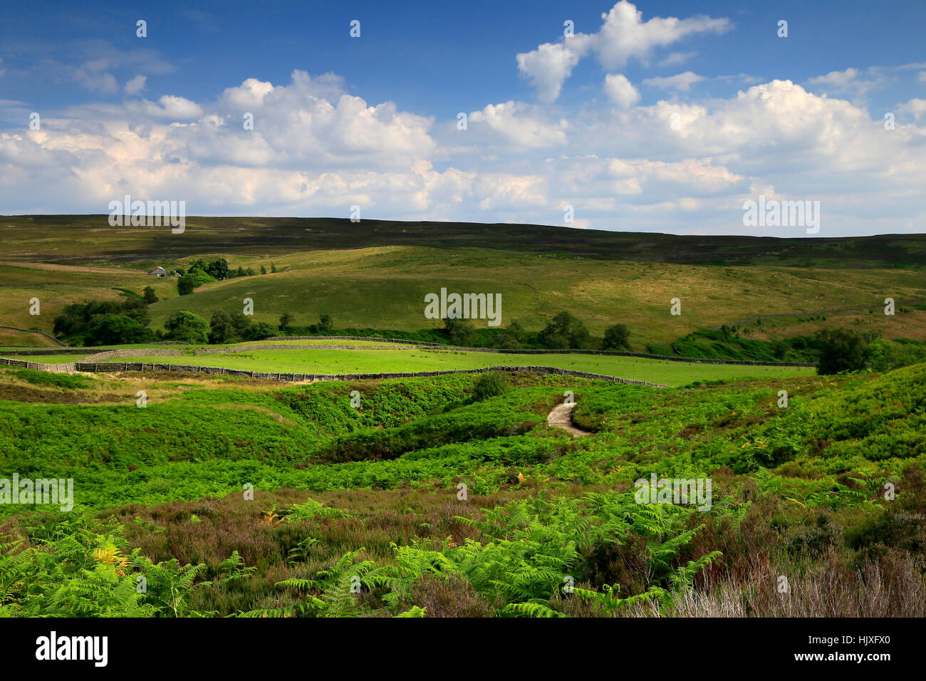 View of Wharfedale in the Yorkshire Dales from near Bolton Abbey Stock Photo