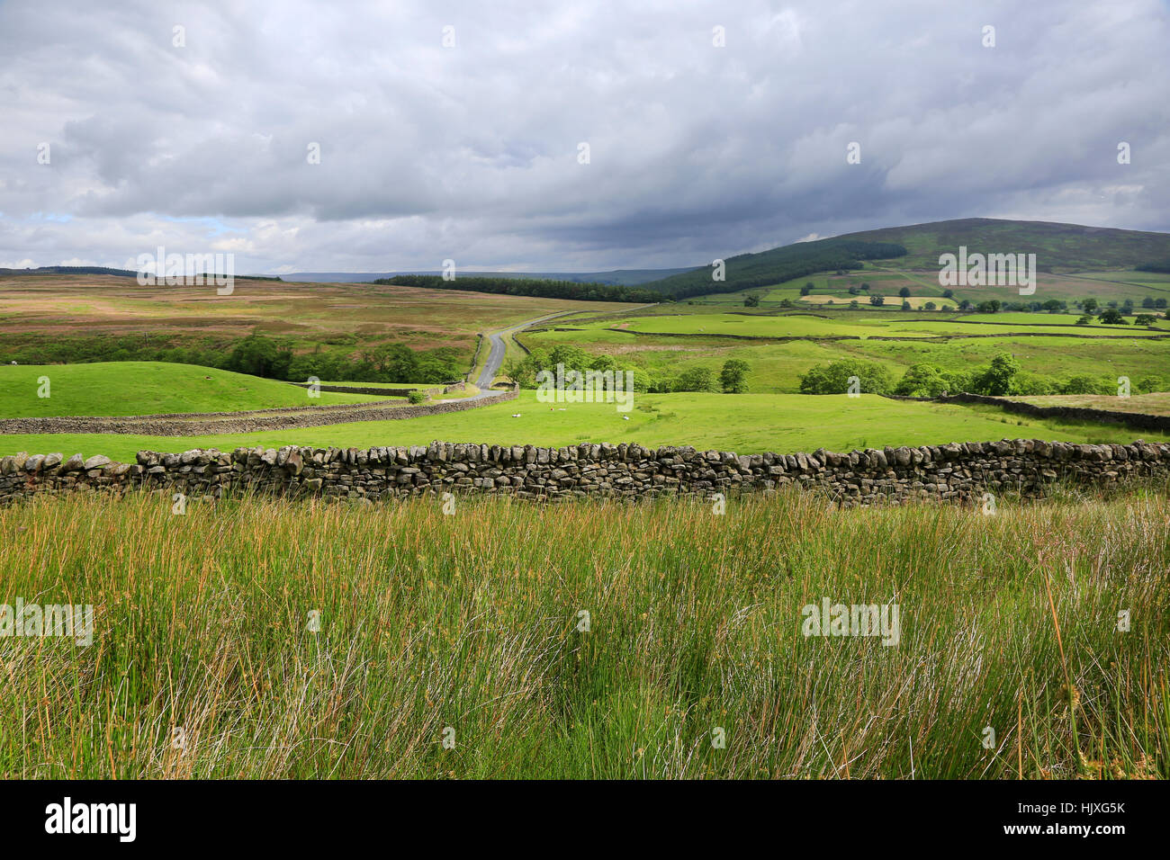 View of Wharfedale in the Yorkshire Dales from near Bolton Abbey Stock Photo