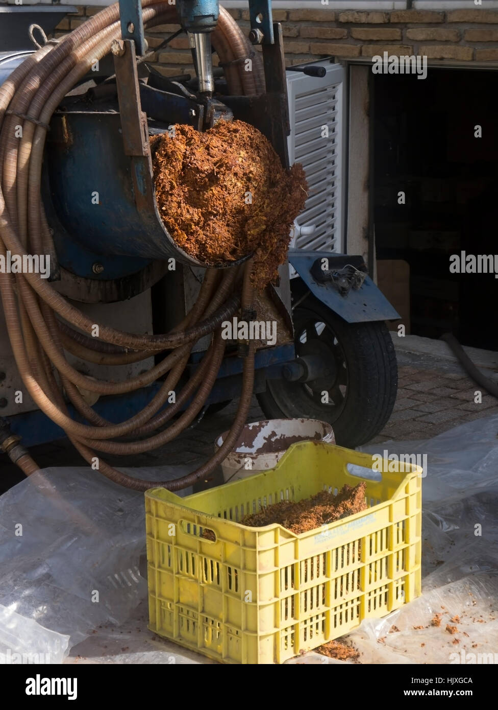 Grapes that have harvested and are being crushed ready for bottling. Stock Photo