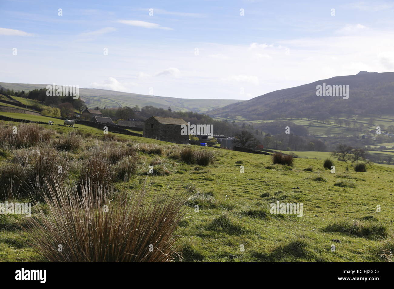 View towards Simon's Seat in the Yorkshire Dales from near Bolton Abbey Stock Photo