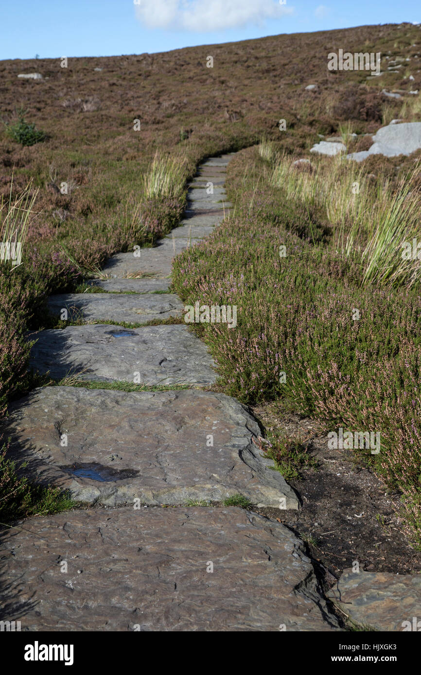 Stone pathway up to Simon's Seat in the Yorkshire Dales Stock Photo