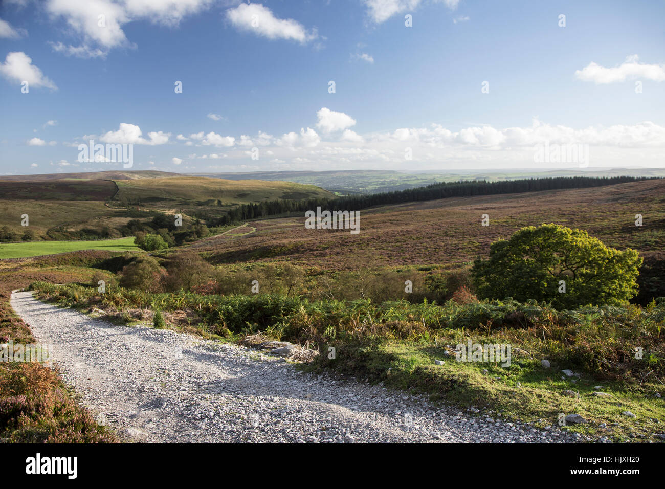 View from Simon's Seat in the Yorkshire Dales to Wensleydale Stock Photo