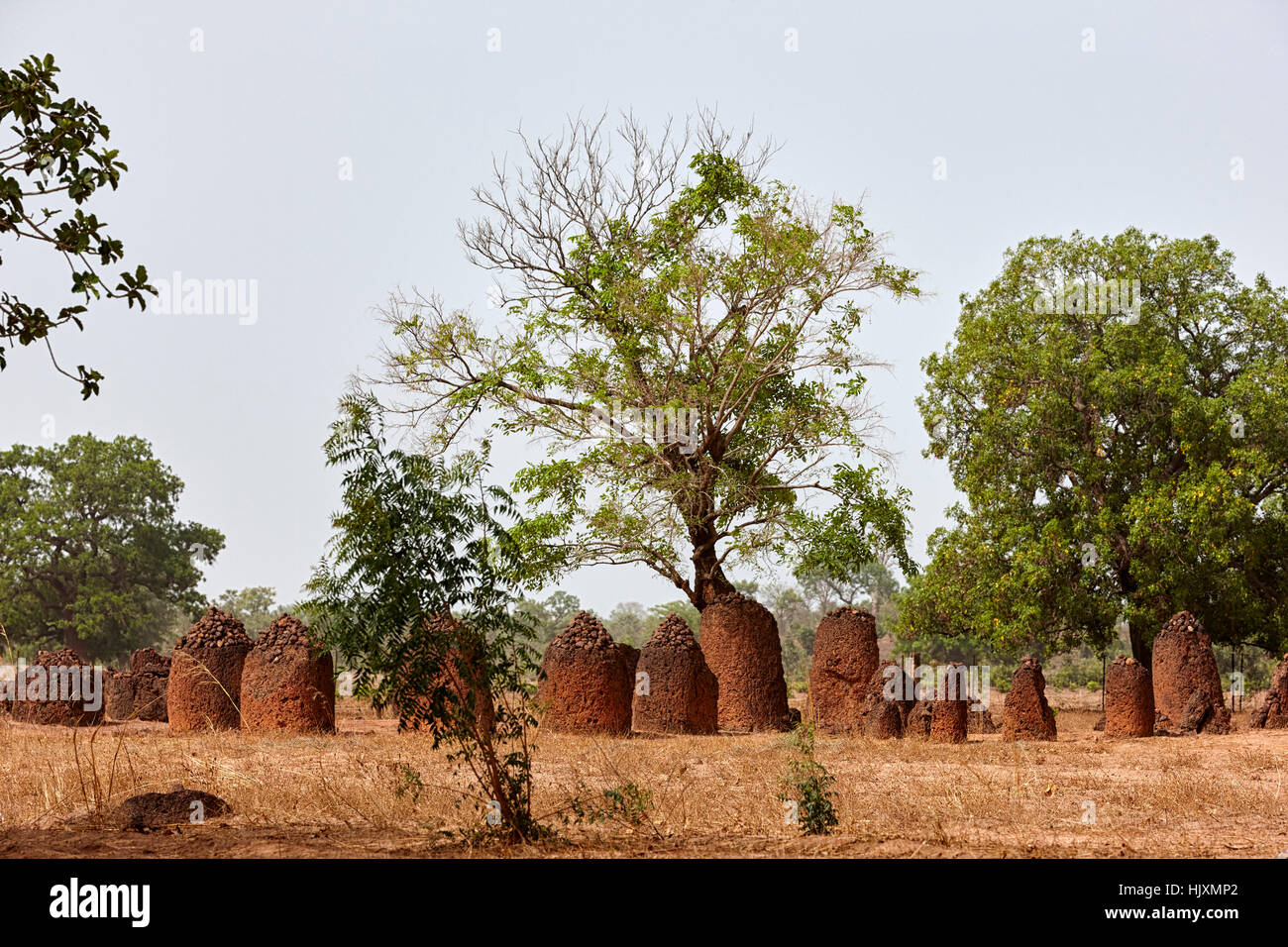 Wassu Stone Circles, UNESCO World Heritage Site, the Gambia, Africa Stock Photo