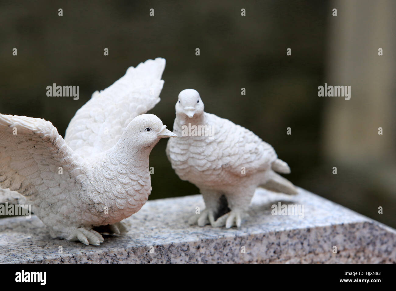 Couple de colombes sur une pierre tombale. Stock Photo