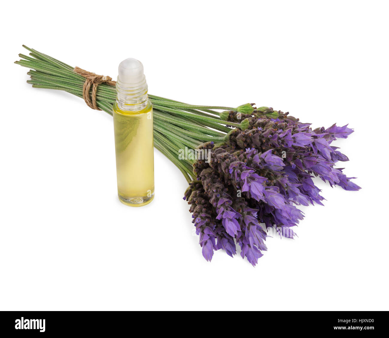 essential oil and  fresh lavender flowers as natural aromatherapy isolated on white background Stock Photo