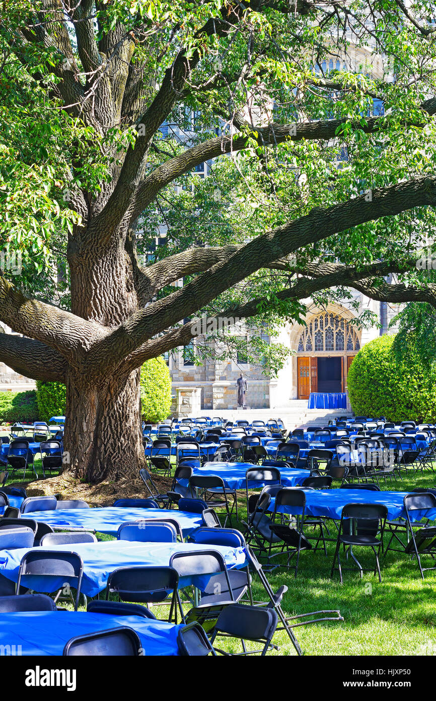 Lawn in front of WhiteGravenor Hall with tables and chairs during