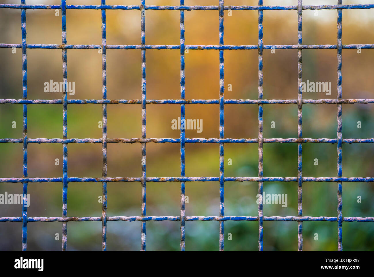 Steel and rusty grid fence with blurred background Stock Photo - Alamy
