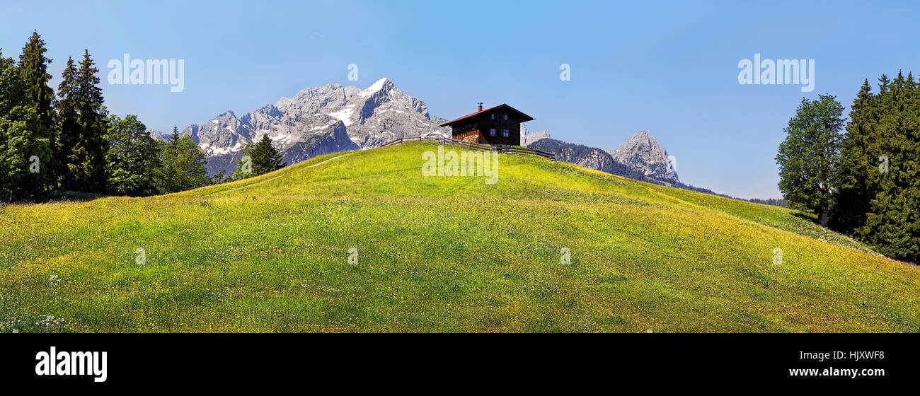 springtime meadow in the eckbauer 2 Stock Photo