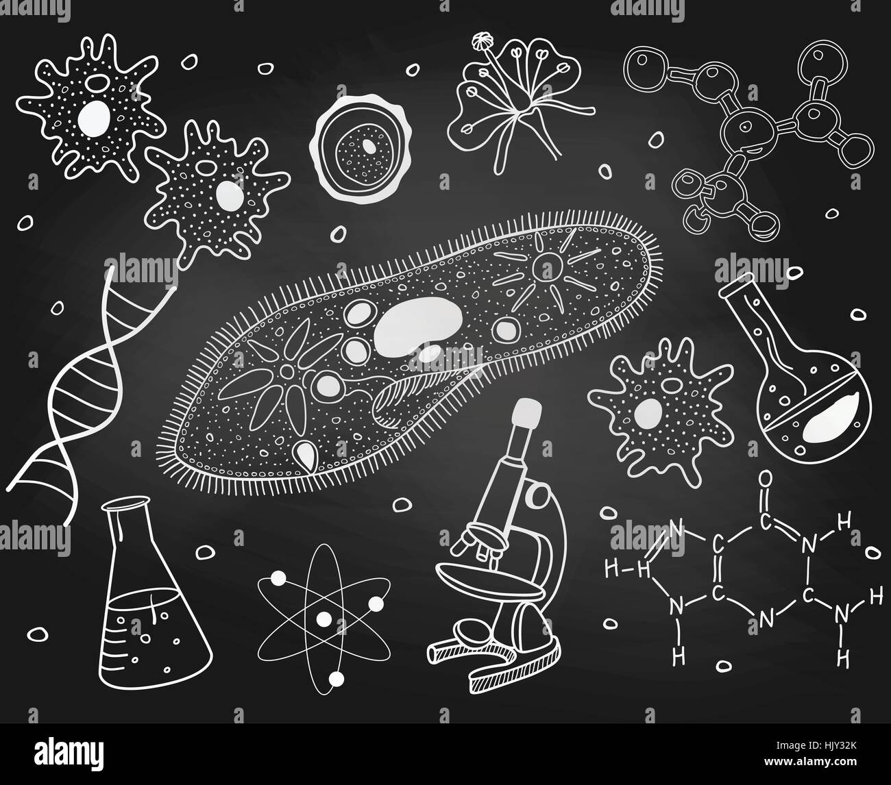 Biology Black And White