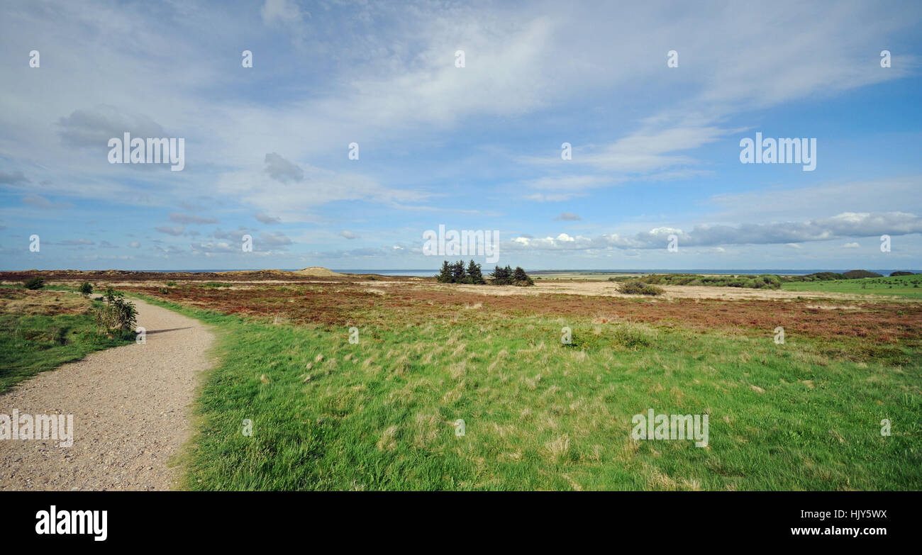 dune, sylt, mud flats, bluff, heather, North Sea island, blue, beautiful, Stock Photo
