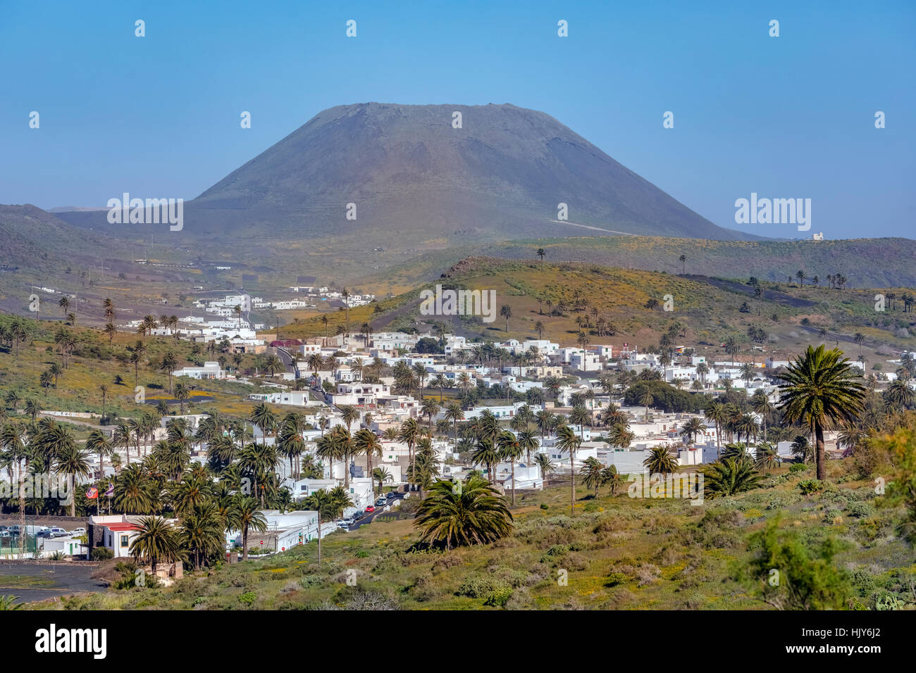 Valley of 1000 palms lanzarote hires stock photography and images Alamy