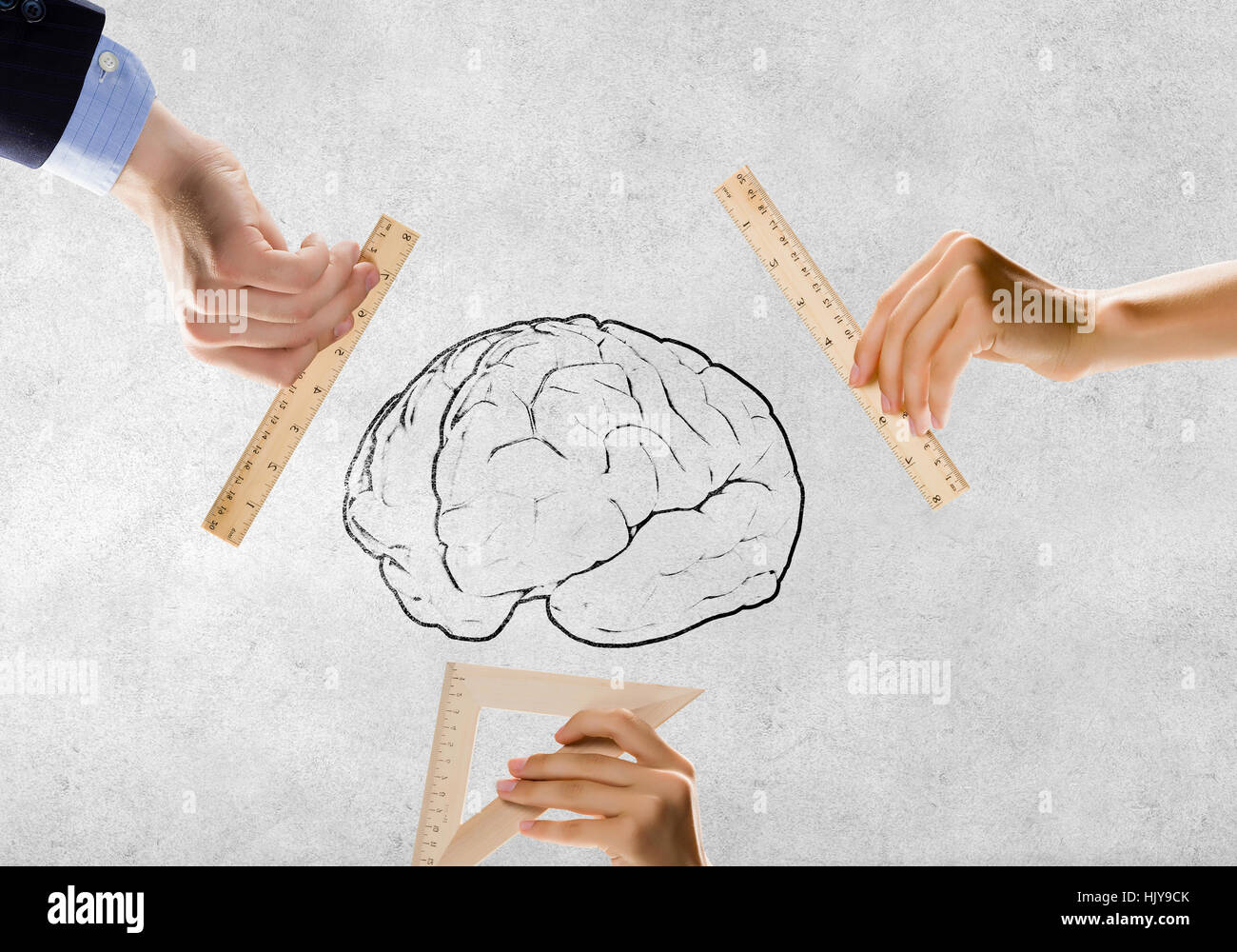 Brain Ruler Close up of people hands measuring brain with ruler Stock Photo - Alamy