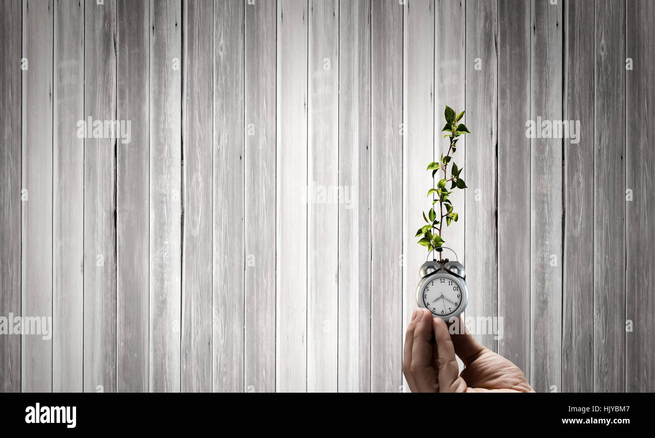 Close up of human hand holding sprout Stock Photo - Alamy