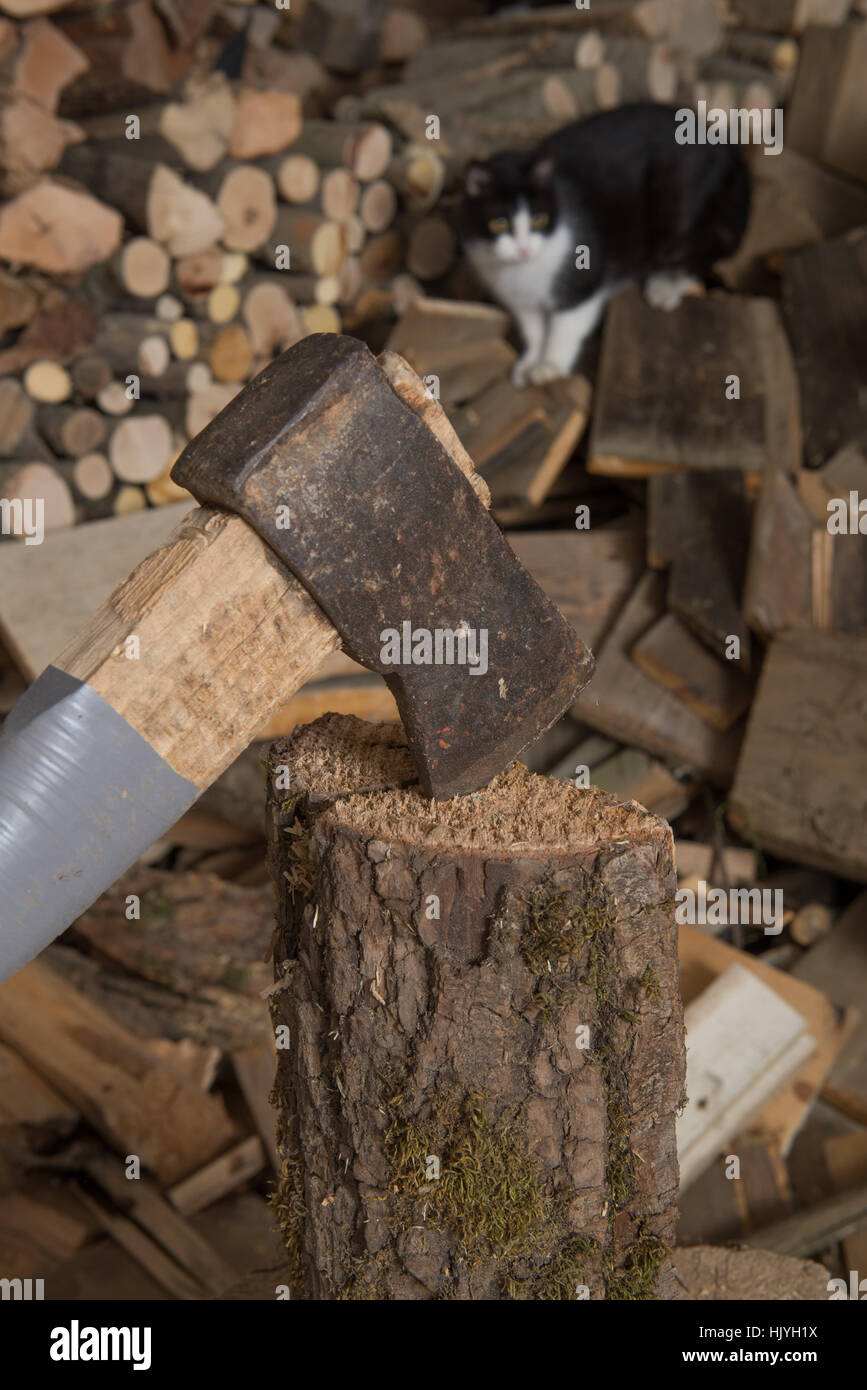 wood, energy, power, electricity, electric power, axe, firewood, chop, hand, Stock Photo