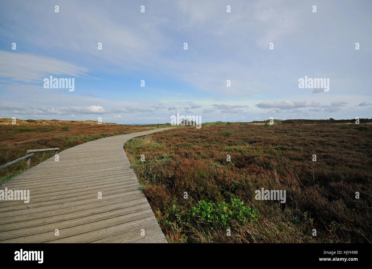 sylt, mud flats, bluff, heather, North Sea island, blue, beautiful, Stock Photo