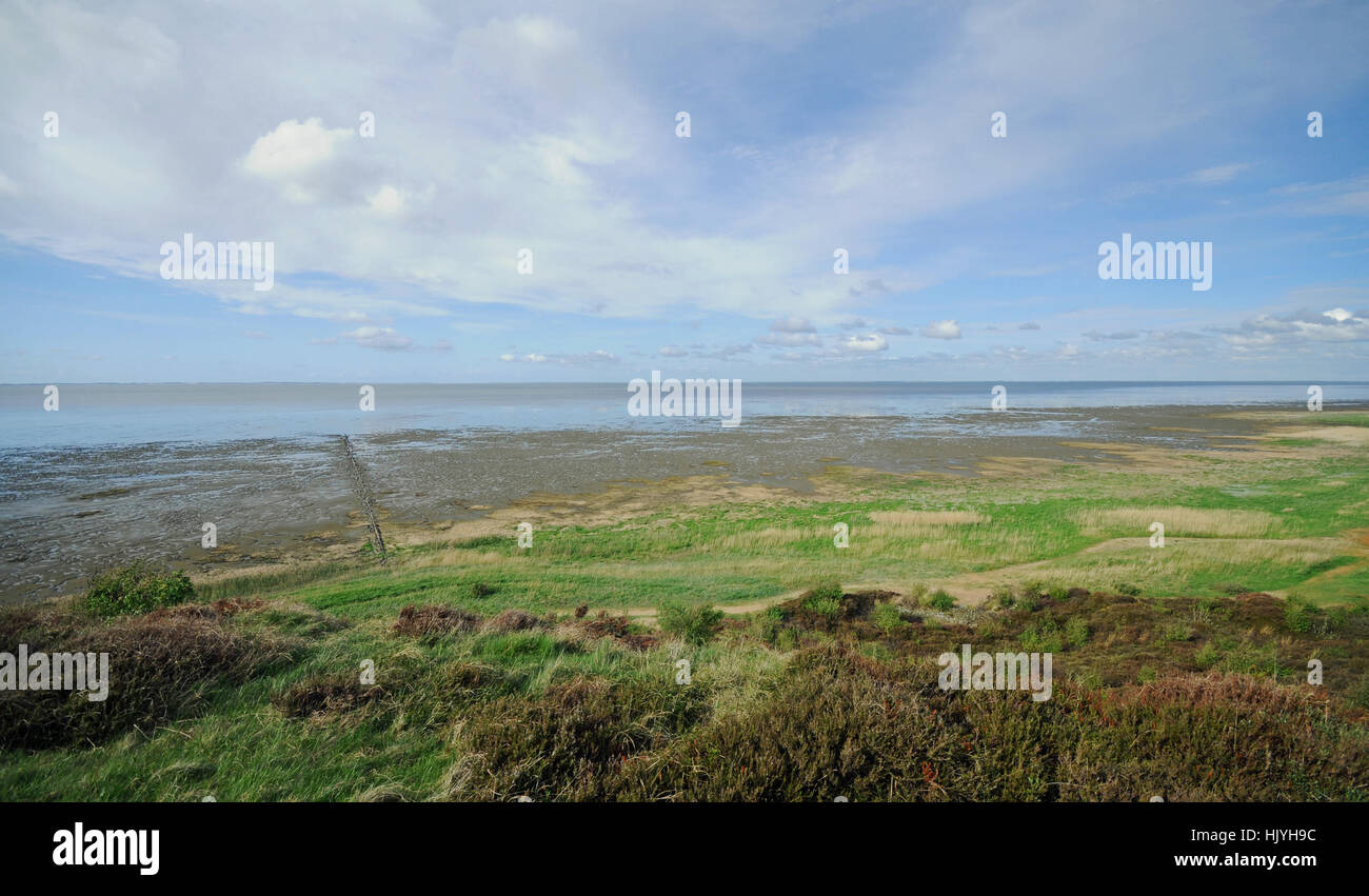 sylt, stage, mud flats, bluff, heather, North Sea island, blue, beautiful, Stock Photo
