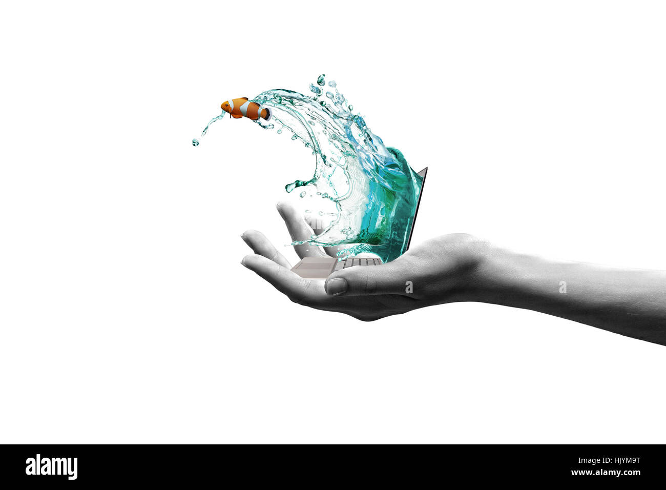 Close up of laptop with fish jumping out from screen Stock Photo - Alamy