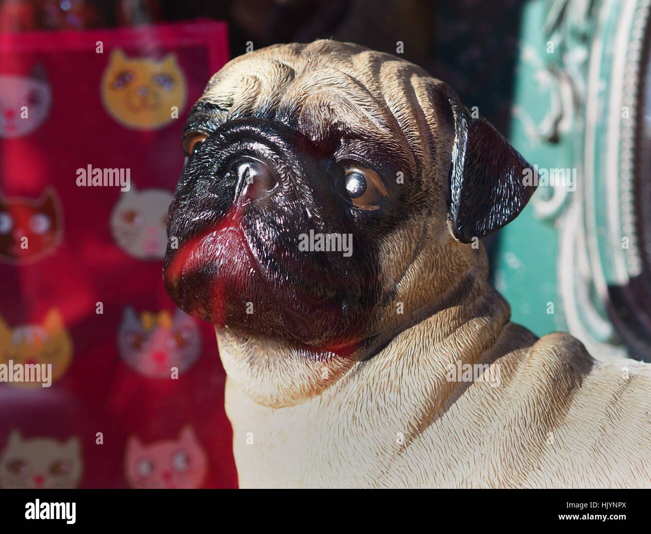 Photo series 'dogs in Berlin' -  A cheese figure of a pug dog is seen in the window of a furniture shop in Berlin on February 15, 2016. Berlin is often called the 'capital of dogs'. This picture is part of a long-term project on dogs in Berlin. Photo: Wolf | usage worldwide Stock Photo