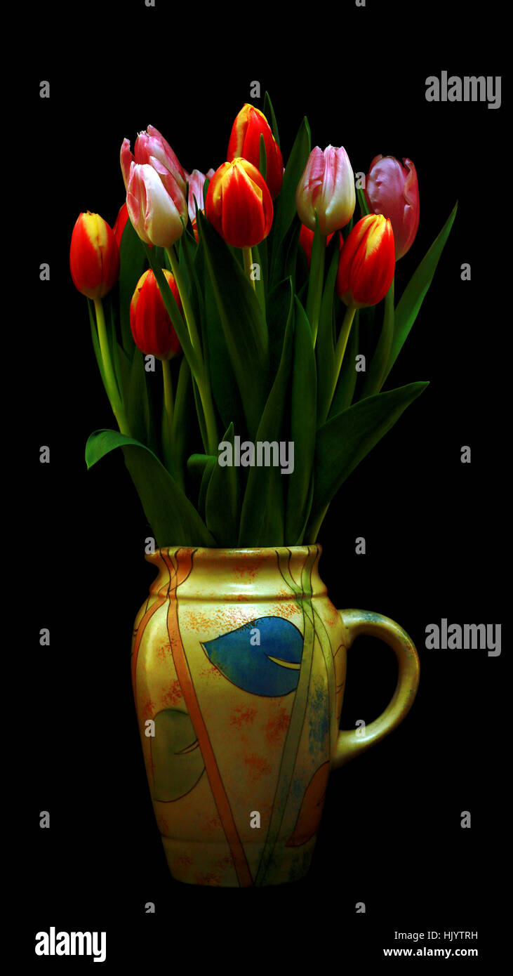 Vase of Tulips on a black background Stock Photo