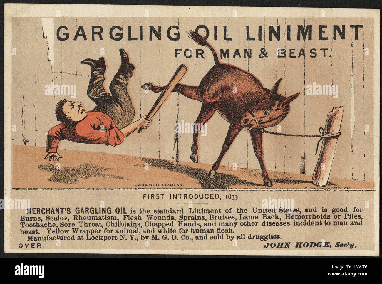 Gargling Oil Liniment for man & beast (front) Stock Photo