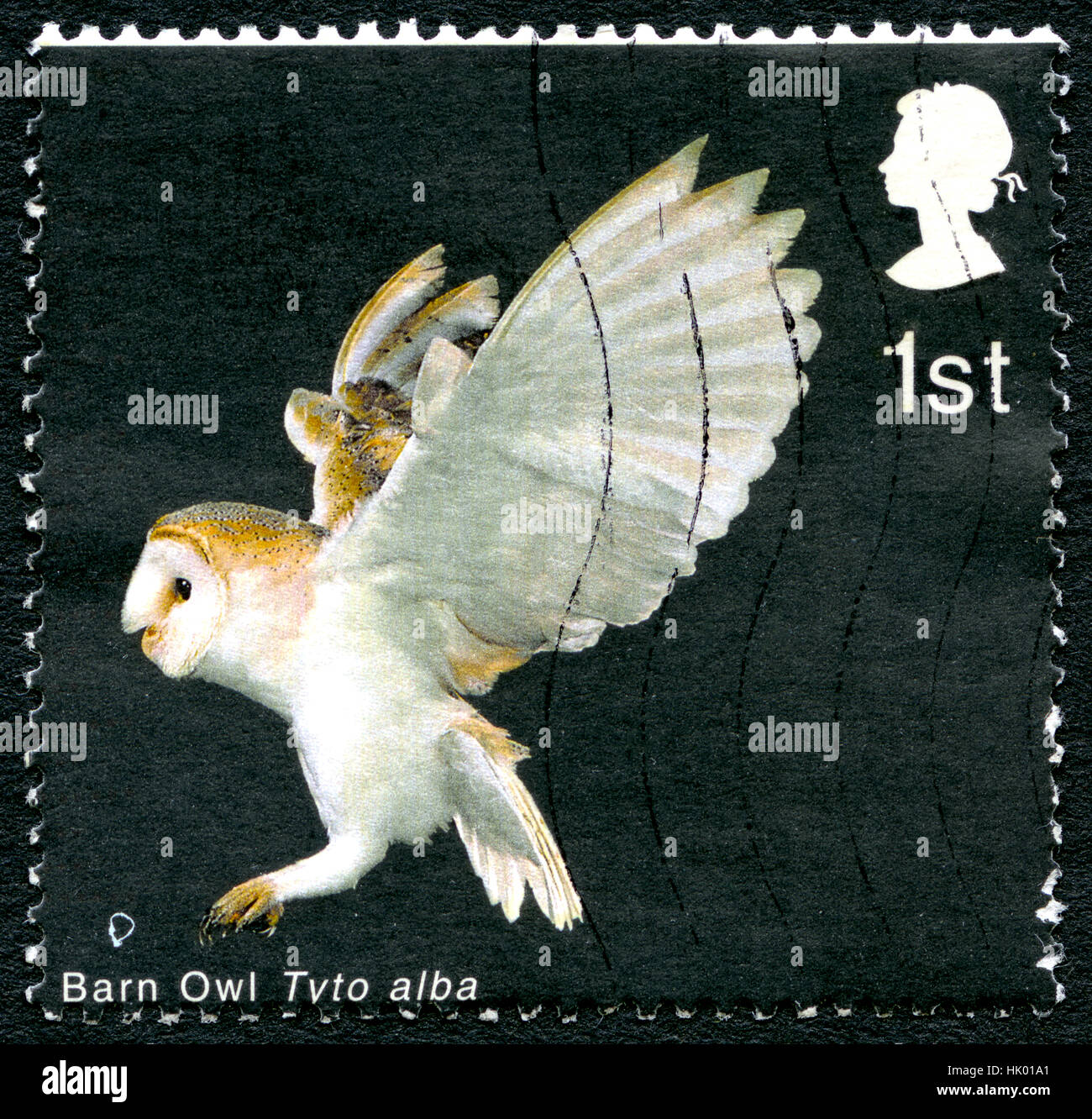 GREAT BRITAIN - CIRCA 2003: A used postage stamp from the UK, depicting an image of a Barn Owl in flight, circa 2003. Stock Photo