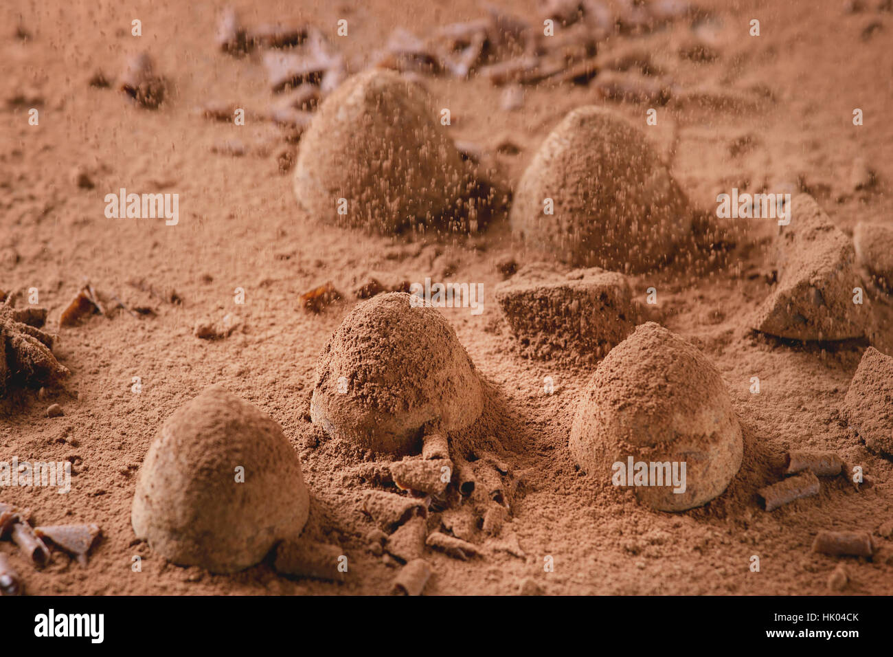 Chocolate truffles with cocoa powder Stock Photo Alamy