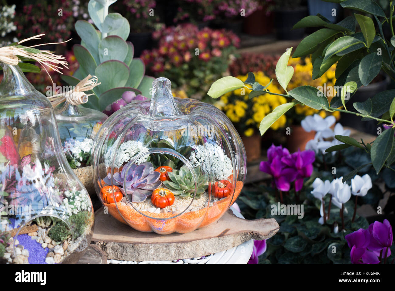 The glass Flower pot with beautiful fake flowers in it Stock Photo Alamy